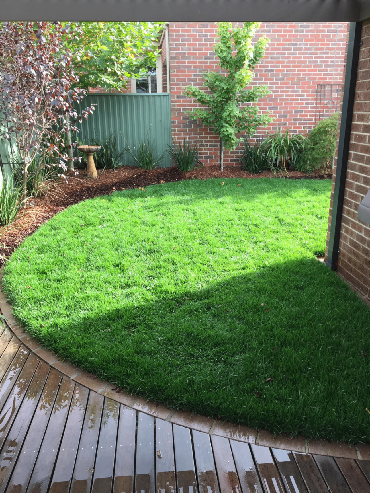 Ballarat landscaping – backyard lawn and garden beds